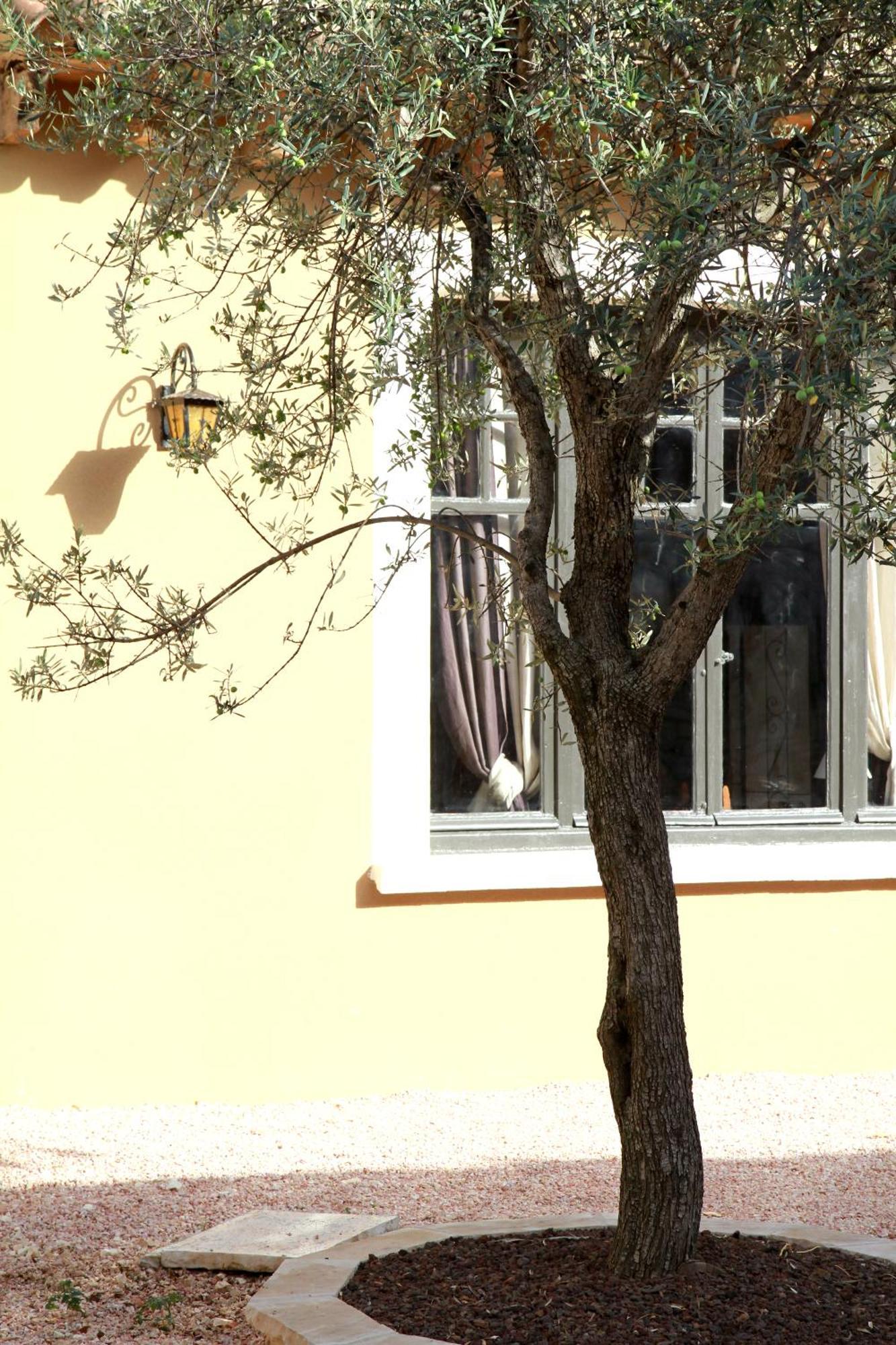 Logis Hotel Le Clos Des Oliviers Bourg-Saint-Andeol Bagian luar foto